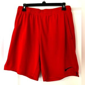 Nike Men’s L Ref standard shorts
